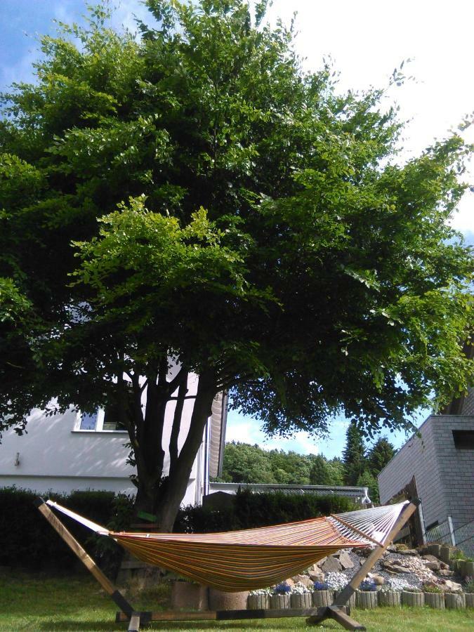 Haus Am Hang; Ferienwohnung Fernblick Stolberg  Esterno foto